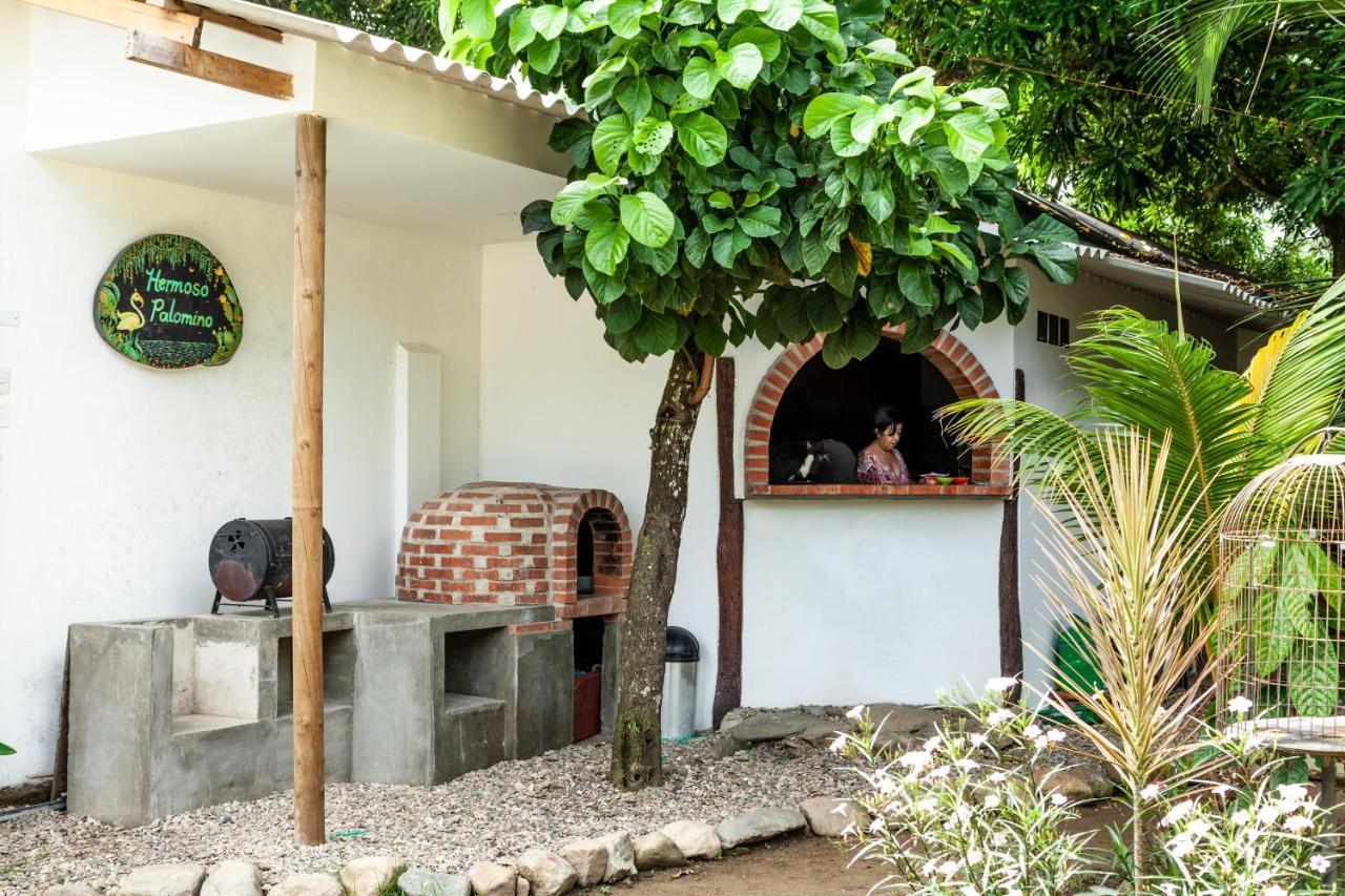Hostal Hermoso Palomino Exterior photo